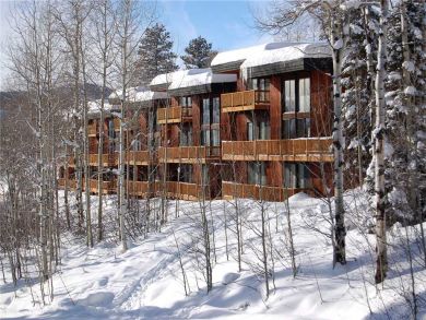 Steamboat Springs Home 928004