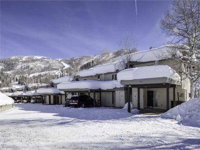 Steamboat Springs Home 928004