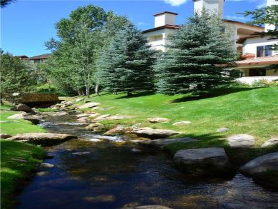 Steamboat Springs Home 928005