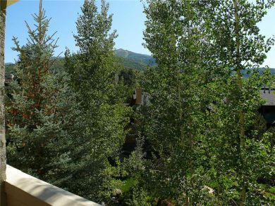 Steamboat Springs Home 928006 Steamboat Springs Home 928006