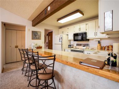 Steamboat Springs Home 928007