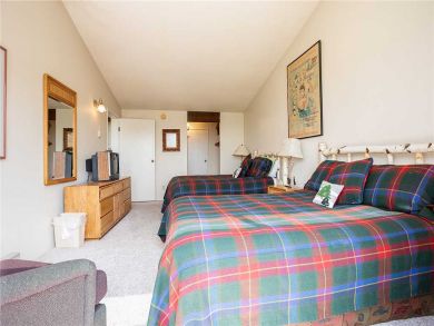 Steamboat Springs Home 928007