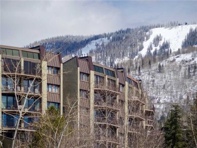 Steamboat Springs Home 928007