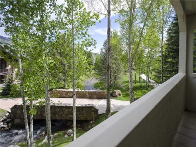 Steamboat Springs Home 928008