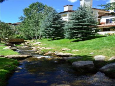 Steamboat Springs Home 928008