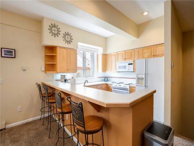 Steamboat Springs Home 928009 Steamboat Springs Home 928009