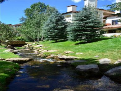 Steamboat Springs Home 928009 Steamboat Springs Home 928009