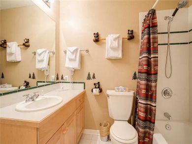 Steamboat Springs Home 928010 Steamboat Springs Home 928010
