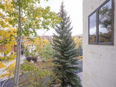 Steamboat Springs Home 928010 Steamboat Springs Home 928010
