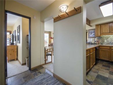 Steamboat Springs Home 928011