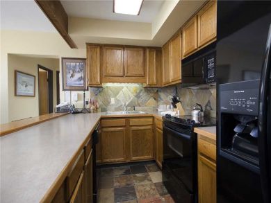 Steamboat Springs Home 928011