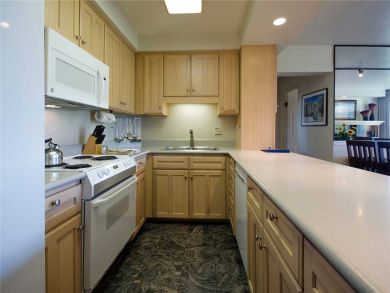 Steamboat Springs Home 928014