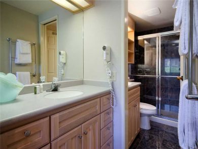 Steamboat Springs Home 928014