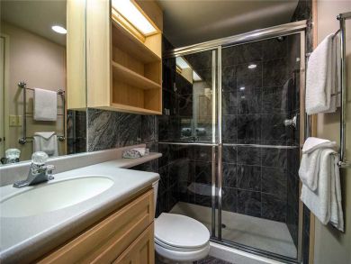 Steamboat Springs Home 928014