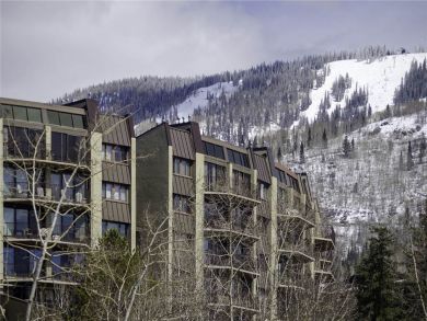 Steamboat Springs Home 928014