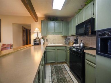 Steamboat Springs Home 928015