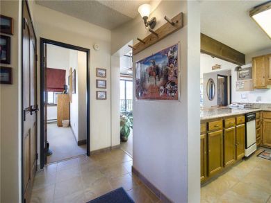 Steamboat Springs Home 928017