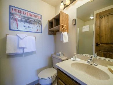 Steamboat Springs Home 928017
