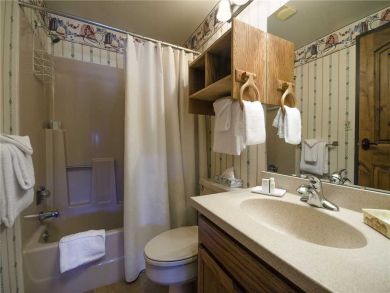 Steamboat Springs Home 928017
