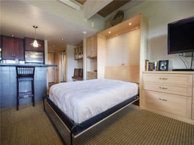 Steamboat Springs Home 928018 Steamboat Springs Home 928018