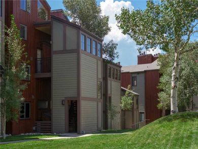 Steamboat Springs Home 928021