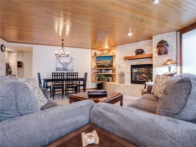 Steamboat Springs Home 928022