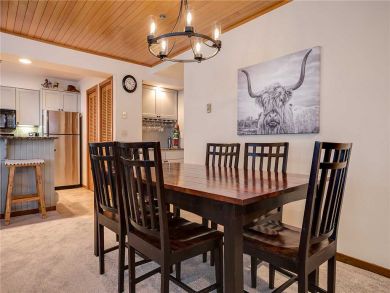 Steamboat Springs Home 928022
