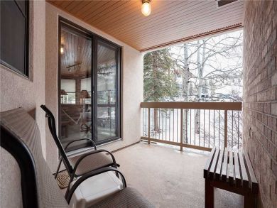 Steamboat Springs Home 928022