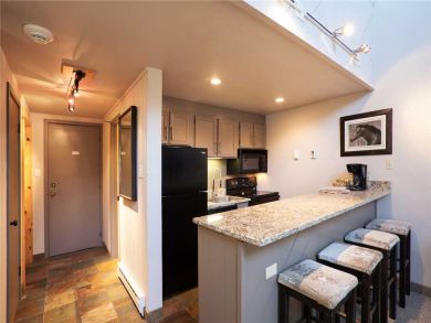 Steamboat Springs Home 928024 Steamboat Springs Home 928024