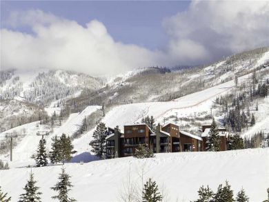 Steamboat Springs Home 928024 Steamboat Springs Home 928024