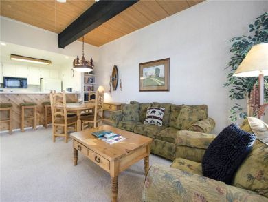 Steamboat Springs Home 928026 Steamboat Springs Home 928026