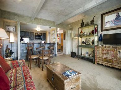 Steamboat Springs Home 928035
