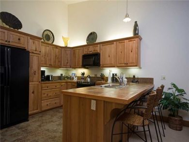 Steamboat Springs Home 928037