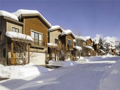 Steamboat Springs Home 928037