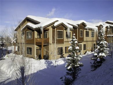 Steamboat Springs Home 928037
