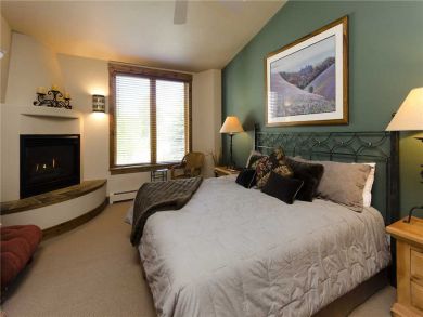 Steamboat Springs Home 928038