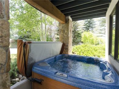Steamboat Springs Home 928038