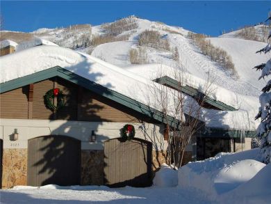 Steamboat Springs Home 928038