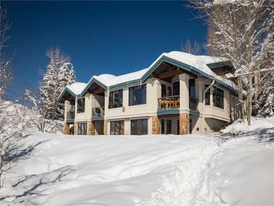 Steamboat Springs Home 928038