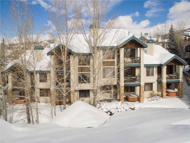 Steamboat Springs Home 928038