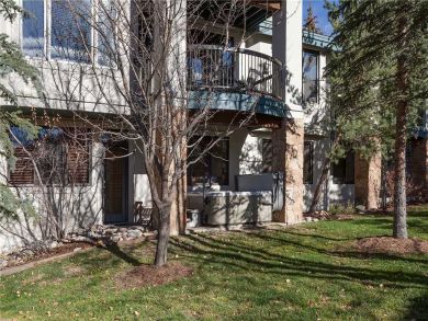 Steamboat Springs Home 928039 Steamboat Springs Home 928039