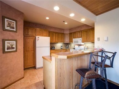 Steamboat Springs Home 928041