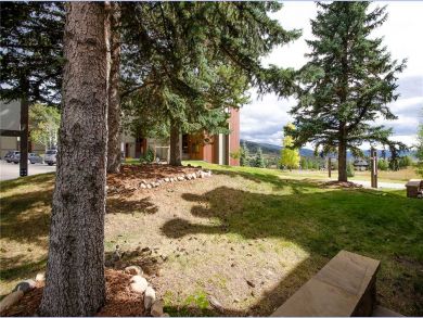 Steamboat Springs Home 928042
