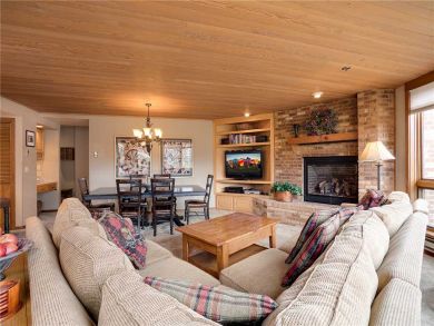 Steamboat Springs Home 928043