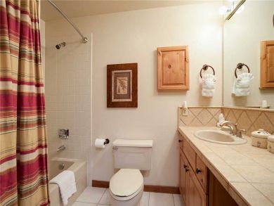 Steamboat Springs Home 928043