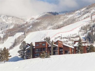 Steamboat Springs Home 928044