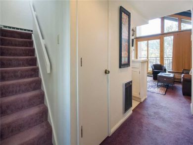 Steamboat Springs Home 928049