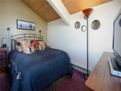 Steamboat Springs Home 928049