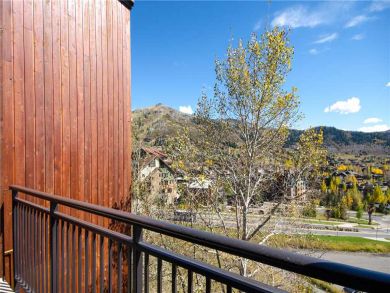 Steamboat Springs Home 928049