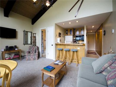 Steamboat Springs Home 928051